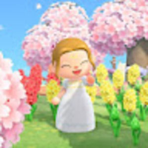 Meet your Posher, Patti